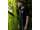 Korda Dot Tee Black L