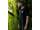 Korda Bobbin Tee Black XXXL