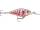 Rapala X-Light Shad 04