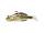 LiveTarget Goby Natural 9cm 1/2oz