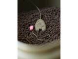 Korda Solidz Inline Lead