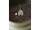 Korda Solidz Inline Lead