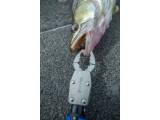 Mustad 11.5" Lip Gripper 420 Stainless Steel