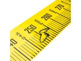 Black Cat Cat Measure