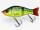 Gunki SCUNNER 175 S TWIN BURNING PIKE