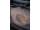 Avid Carp Revolve Floating XL