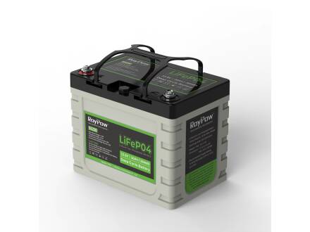RoyPow Life Po4 12V 30Ah