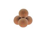 Carp World Not From Earth Pop Ups 15mm Scopex Squid