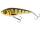 Westin Jerk 14cm 60g Amber Perch Sinking