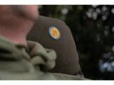 Solar Worldwide Couch Chair