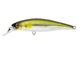 Jackall Squad Minnow 80SP Suspend Koayu