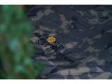 Solar Tackle Worldwide Sleep System STD 6 LEG