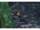 Solar Tackle Worldwide Sleep System STD 6 LEG