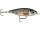Rapala X-Light Pencil 5cm 4gr