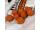 CC Moore Pro-Stim Liver Continental 21mm 5KG