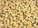 Carp World Maispellets Neutral 3kg im Eimer