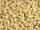 Carp World Maispellets Neutral 3kg im Eimer