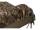 Fox Camolite Compact Sleeping Bag