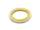 RIO Elite Gold Fliegenschnur