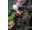 Fox Camolite Spod & Marker Double Sleeves 12ft