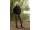 Korda Womens Leggins | Dark Olive