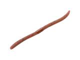 Jackall Flick Shake 4.8″ Softbait