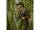 Trakker TechPro Mozzi Shirt