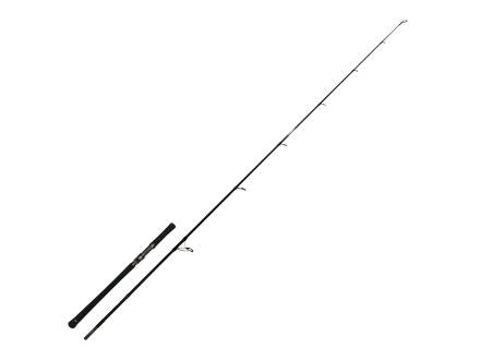 Zeck Evo Cat Spin 243 | 120