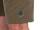 Fox Collection Jogger Shorts Green