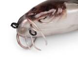 Fox Rage Ultra Natural Catfish Replicants
