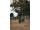 Korda Kids Kore Hoodie | Dark Olive 6/7Y