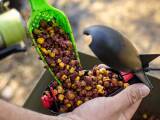 Korda Bait Scoop