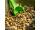 Korda Bait Scoop