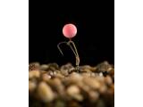 Korda Pop Up Boilie Fruity Squid Pink