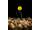 Korda Pop Up Boilie IB Yellow