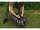 Solar Tackle Worldwide Hi-Line Walled Mat
