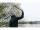 Nash Spot On Speed Load Throwing Stick