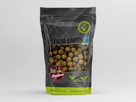 Carp World Not From Earth XT 1kg 20mm Eiscreme