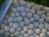 Carp World NOT FROM EARTH Boilie Eiscreme 20mm 1kg
