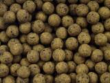 Carp World Not From Earth XT 1kg 20mm Eiscreme
