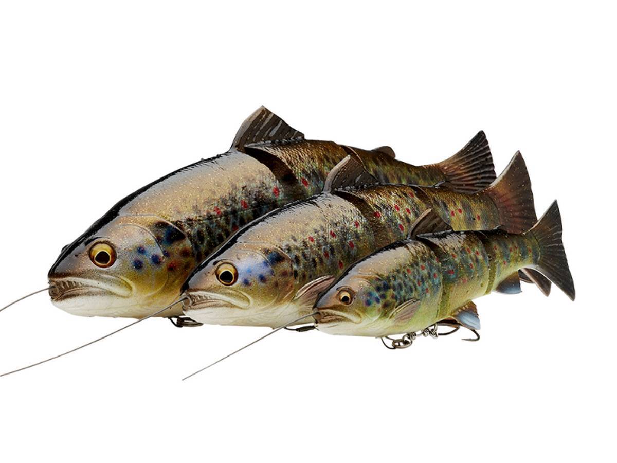 Savage Gear 4D Line Thru Trout – Leurre Souple Truite Réaliste 15 Cm 35 G Slow Sink Pour Brochet, Pêche Prédateurs
