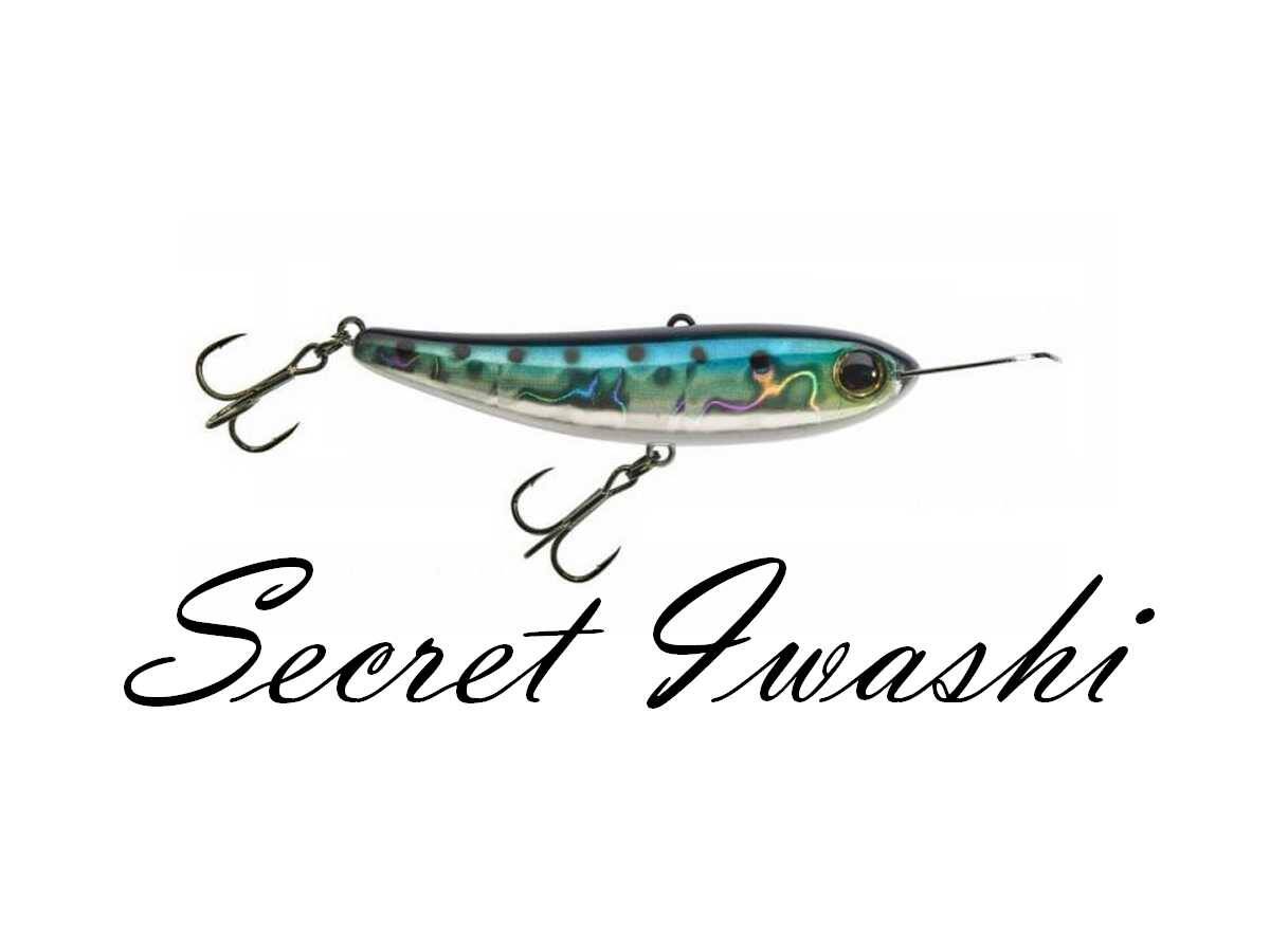 Leurre Coulant Jackall Riser Bait 008 - 80mm - Topwater - Inakko Chart - Neuf