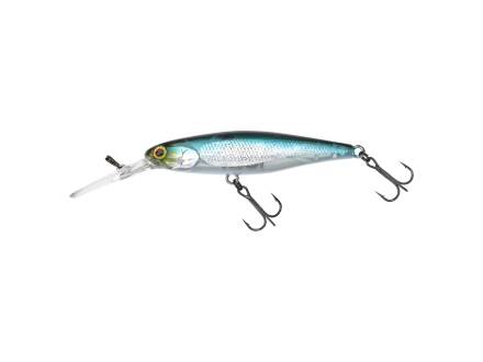 ILLEX DD SQUIRREL 67 SP NF ABLETTE