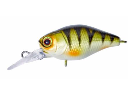 ILLEX CHUBBY 38 MR PERCH