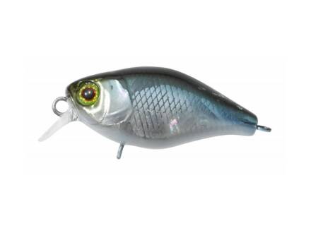 ILLEX CHUBBY 38 NF ABLETTE