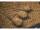 GURU Extra Distance Hybrid Feeder Large 60g