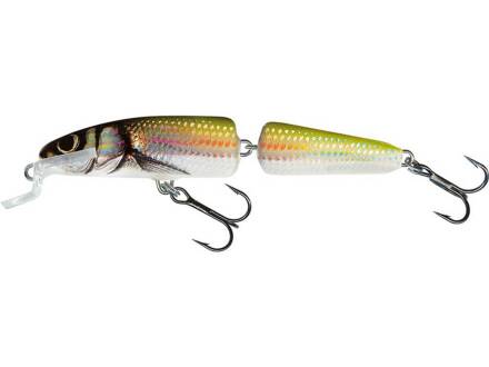 Salmo Fanatic Floating 7 cm Holo Bleak
