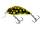Salmo Rattlin Hornet Shallow Bright Beetle 4,5 cm