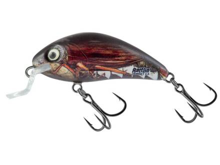 Salmo Rattlin Hornet Shallow  4,5cm Real Cockchafer