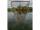 Solar Bow-Lite Landing Net 42"